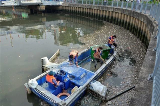 “Tỉa thưa” đàn cá trên kênh Nhiêu Lộc - Thị Nghè - 2