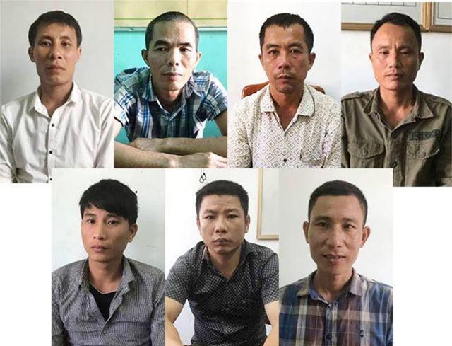 Quảng Bình: Bắt giam nhóm đối tượng phá rừng gỗ quý tại Phong Nha – Kẻ Bàng