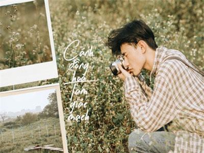 Chẳng cần lên tận Hà Giang vì Hà Nội cũng đang có cánh đồng tam giác mạch ngút ngàn, nhìn thôi cũng đủ mát cả lòng