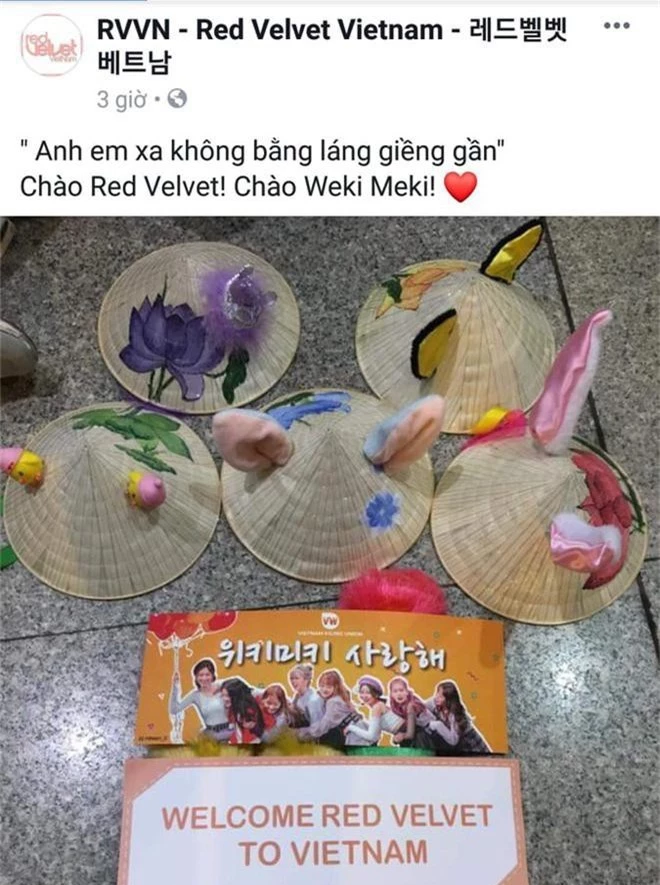 Cựu thành viên V.Music gây phẫn nộ khi gọi fan đón Red Velvet ở sân bay Việt Nam là khùng điên - Ảnh 1.