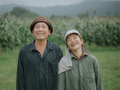 Bộ ảnh con trai chụp bố mẹ trên cánh đồng khiến ai cũng bất giác mỉm cười vì quá đỗi bình yên