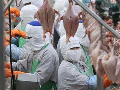 Tập đoàn Thái Lan rót thêm 200 triệu USD vào Việt Nam để tận dụng CPTPP