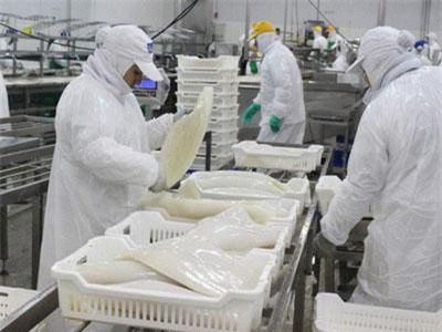 Xuất khẩu mực, bạch tuộc tiếp tục tăng