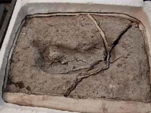 Tìm thấy dấu chân con người lâu đời nhất ở Chile