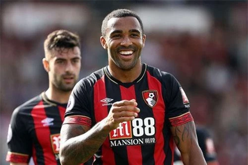 Tiền đạo: Callum Wilson (Bournemouth).