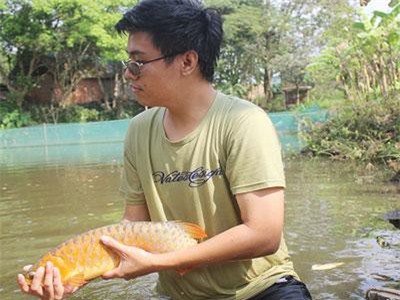 Đồng Nai: Du học ngành ẩm thực, 8x lại về quê nuôi "cá vua" trong ao làng
