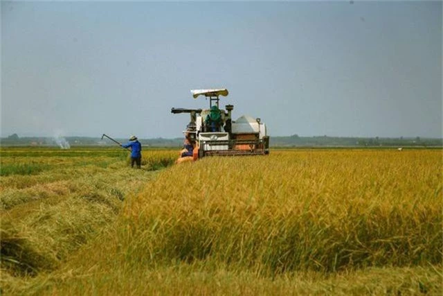 Chuyển mình từ “gió Lào, cát trắng” thành công nghiệp hiện đại, sau 44  năm giải phóng - 3