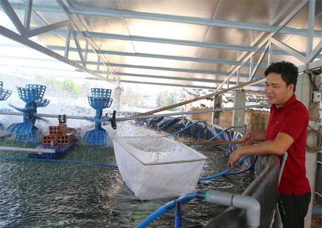 Quảng Trị: Chuyển mình từ “gió Lào, cát trắng” thành công nghiệp hiện đại, sau 44 năm giải phóng