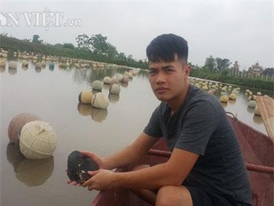 Ninh Bình: "Ném" 4 tỷ xuống ao, bắt trai nhả ngọc, 9X thu tiền tỷ