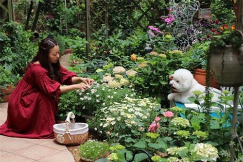 Khu vườn rực rỡ như xứ sở thần tiên của cô gái xinh đẹp với đủ loại hoa khoe sắc