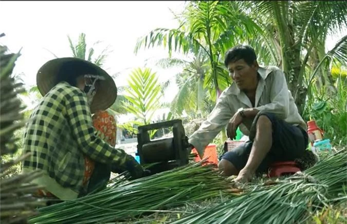 la ma hay: trong loai co dai dan o day lai kha, giau hinh anh 3