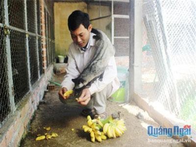 Quảng Ngãi: Ham nuôi loài nhìn ghê, bán giống 5-7 triệu/con