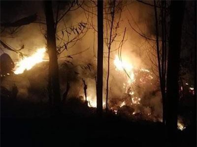 Quảng Ngãi: Rừng keo bốc cháy dữ dội suốt đêm