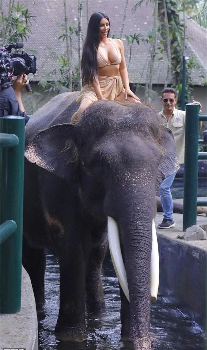 Cô Kim khoe ảnh đi xem cưỡi voi, vẫn là không quên khoe vòng 1 siêu khủng - Ảnh 3.