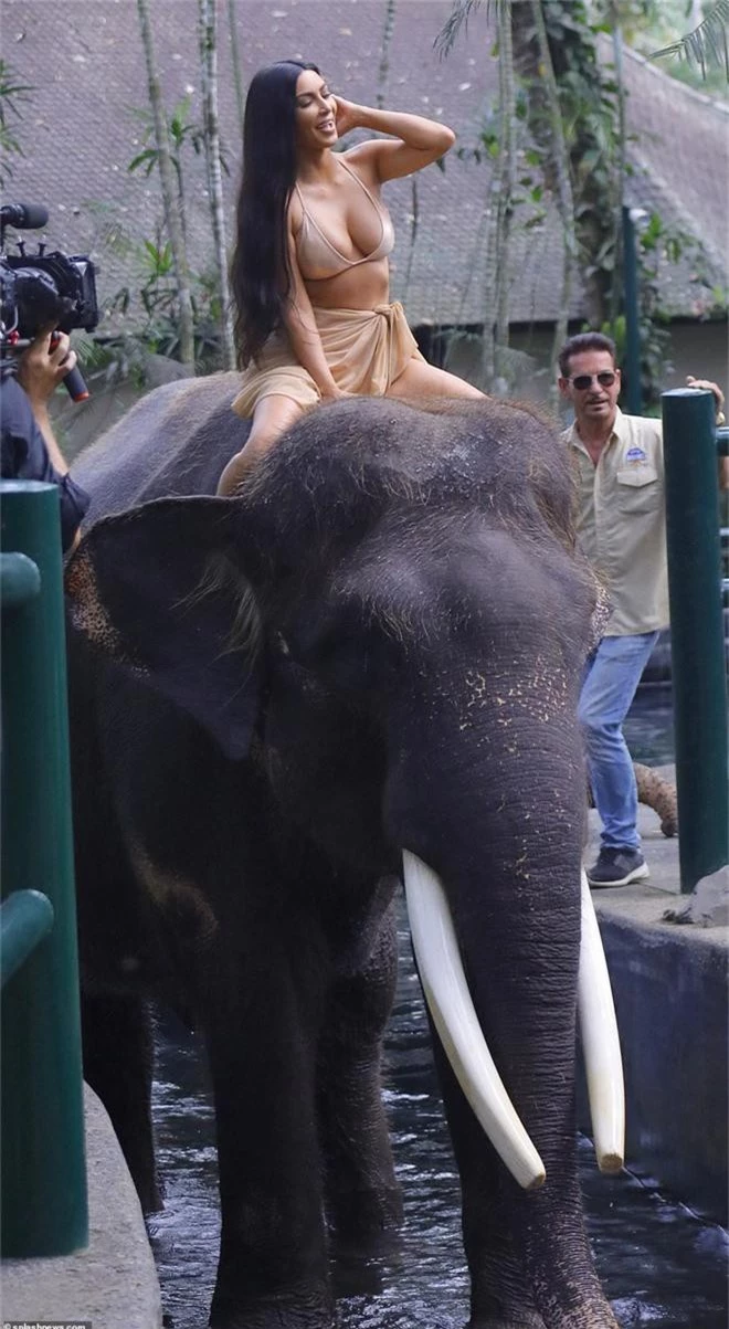 Cô Kim khoe ảnh đi xem cưỡi voi, vẫn là không quên khoe vòng 1 siêu khủng - Ảnh 4.