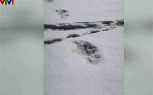 Quân đội Ấn Độ đăng ảnh phát hiện "người tuyết"