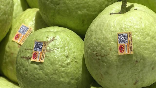 Hà Nội: 780 cửa hành kinh doanh trái cây đáp ứng đủ điều kiện