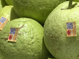 Hà Nội: 780 cửa hành kinh doanh trái cây đáp ứng đủ điều kiện