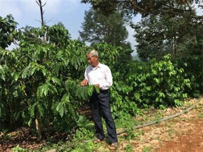 Lâm Đồng: Ông Tách cà phê, khi giá "ủ ê" vẫn thu 2 tỷ đồng
