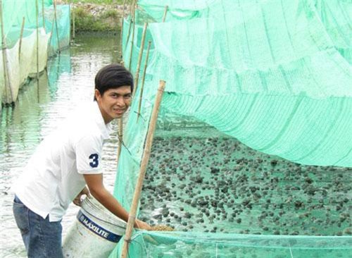 Trai làng nuôi thập cẩm con dưới nước, trên cạn, kiếm bộn tiền