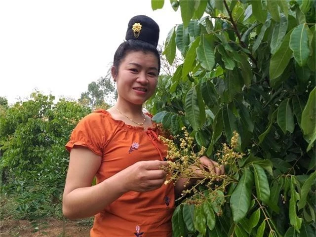 trong du loai cay tren 1 ha dat, vo chong kiem 200 trieu/nam hinh anh 2