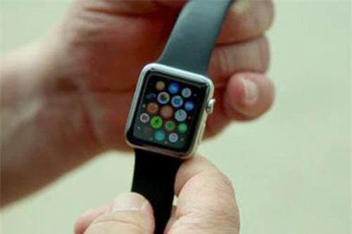 Rơi xuống biển 6 tháng, Apple Watch vẫn chạy bình thường