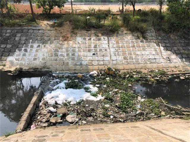 Cá chết, rác thải lại nổi đầy các kênh nước ở Đà Nẵng - 3