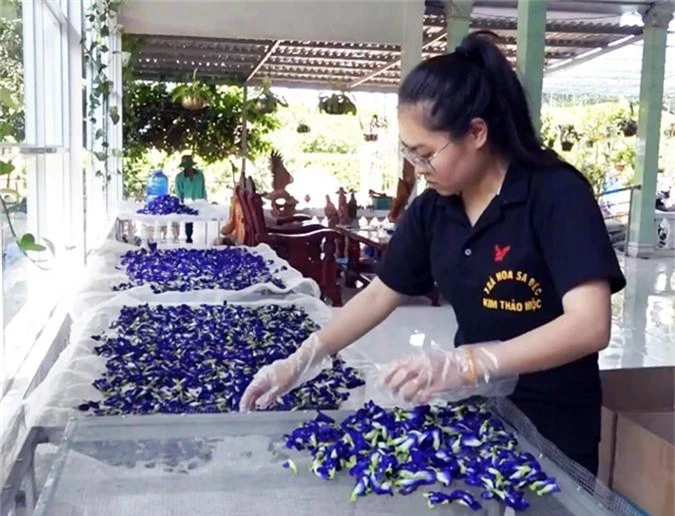 lam giau khac nguoi: tao tra thom tu cac loai hoa que hinh anh 4