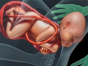 8 dấu hiệu cho thấy các mẹ chuẩn bị lâm bồn đến nơi rồi và những việc cấp thiết cần làm ngay