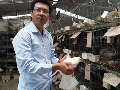 Hải Phòng: Bỏ đi tàu viễn dương về quê nuôi thập cẩm con đặc sản