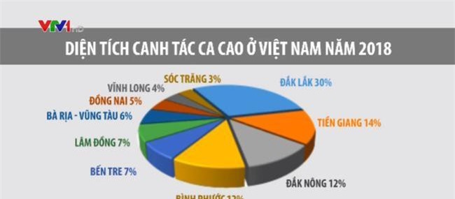 Giá ca cao tăng lên hơn 55 triệu đồng/tấn