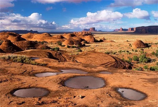 Loài tôm lạ sống trong sa mạc: Cổ nhất hành tinh, 50 năm không có nước mà trứng vẫn nở tốt - Ảnh 2.