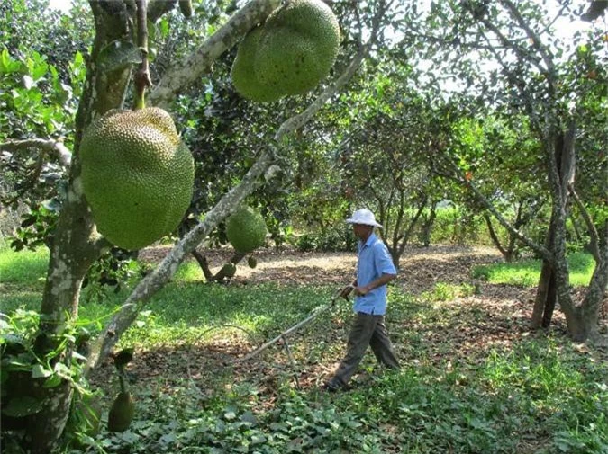 quang nam: dem tien 