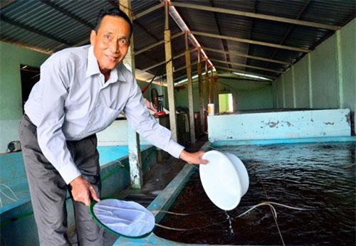Kiên Giang: Trở thành tỷ phú nhờ nghề..."đỡ đẻ" cho tôm