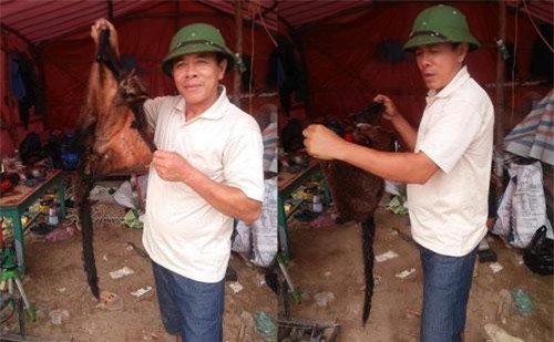 Hà Tĩnh: Truy tìm nhóm người nghi giết chồn bay quý hiếm rồi đăng Facebook