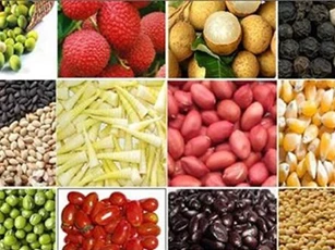 17 lô hàng nông, thủy sản Việt Nam nhập khẩu vào EU bị từ chối