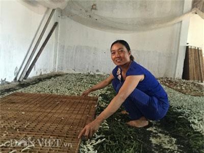 Lâm Đồng: Nuôi con ăn cơm đứng, mỗi tháng thu gần 60 triệu đồng