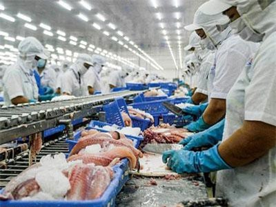 Xuất khẩu cá tra sang ASEAN nhiều điểm sáng