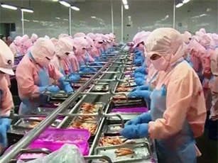 Hiệp định CPTPP tạo thêm cơ hội xuất khẩu sang thị trường Nhật Bản