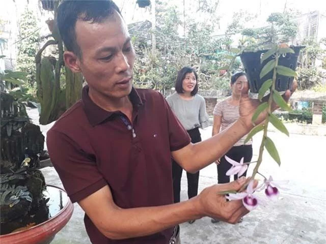 Lạ Thái Nguyên: Vườn lan nhiều loại siêu độc, giá cả chục triệu 1cm - 1 Lạ Thái Nguyên: Vườn lan nhiều loại siêu độc, giá cả chục triệu 1cm - 1
