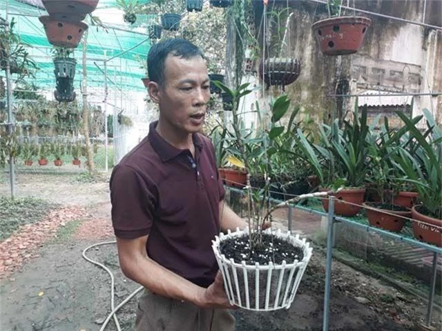 Lạ Thái Nguyên: Vườn lan nhiều loại siêu độc, giá cả chục triệu 1cm - 2 Lạ Thái Nguyên: Vườn lan nhiều loại siêu độc, giá cả chục triệu 1cm - 2