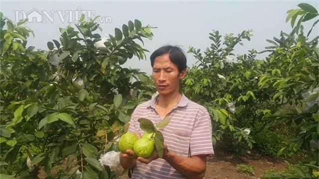 ninh binh: dung phe pham u nam bon cho oi, lai 20 trieu moi thang hinh anh 1