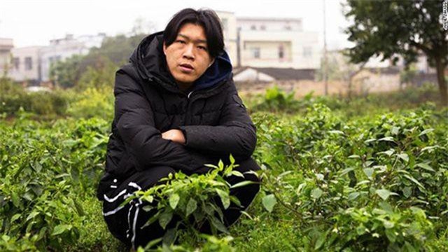 Chàng trai chăn lợn kiếm hàng trăm triệu mỗi năm nhờ chăm... livestream