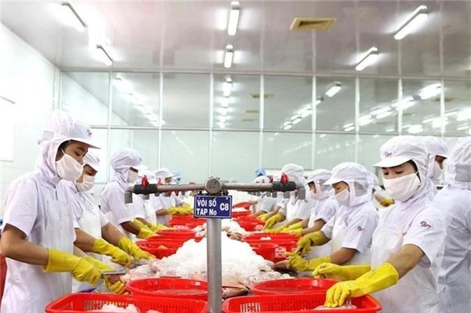 Nông sản Mỹ xuất khẩu sang Việt Nam tăng kỷ lục - ảnh 1