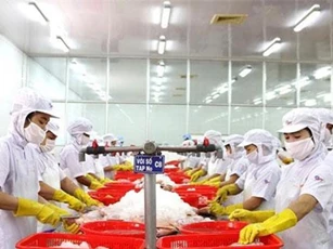 Nông sản Mỹ xuất khẩu sang Việt Nam tăng kỷ lục