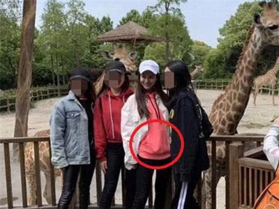 Angelababy một mình đi du lịch nhưng vòng 2 lớn bất thường mới là điều mọi người quan tâm