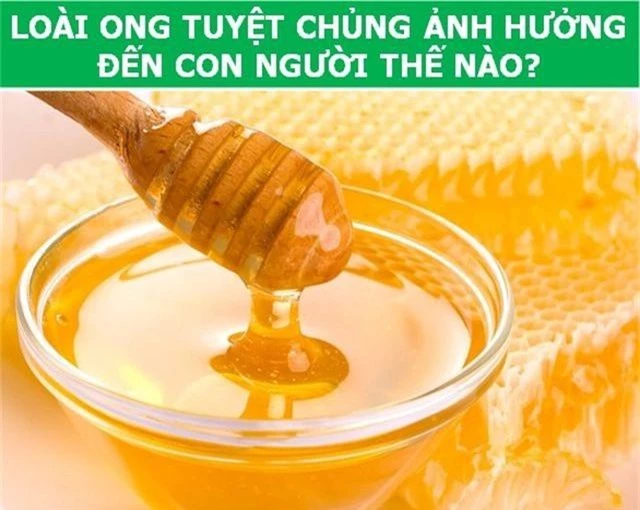 Những kết cục tồi tệ nào sẽ xảy ra với Trái Đất nếu loài ong tuyệt chủng? - 3