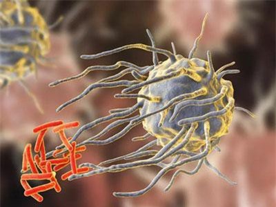 "Thuốc kháng sinh đang ngày càng trở nên vô dụng, nhiều bệnh thông thường cũng sẽ không thể điều trị được"