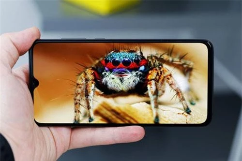 Xiaomi Mi 9 dùng tấm nền màn hình Super AMOLED kích thước 6,39 inch, độ phân giải Full HD Plus (2.340x1.080 pixel) cho mật độ điểm ảnh 403 ppi. Màn hình này được chia theo tỷ lệ 19,5:9, chiếm 90,7% diện tích mặt trước, tích hợp công nghệ HDR10, dài màu DCI-P3, độ sáng tối đa 600 nit.