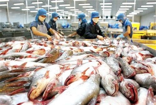 Chính phủ dự kiến tăng trưởng GDP 2019 đạt 6,78%